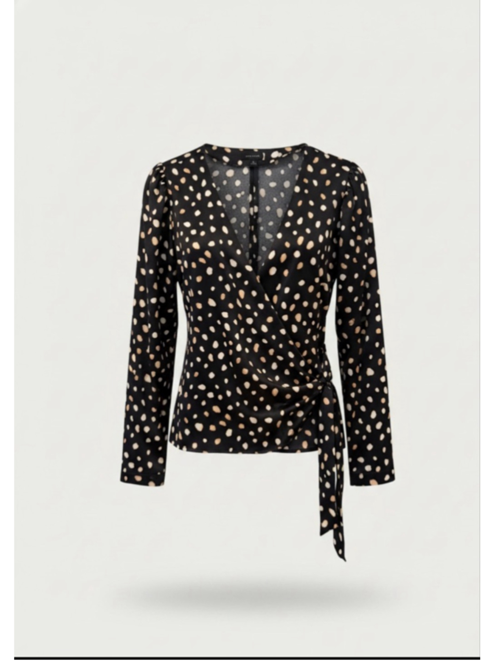 Silky animal print and Taylor blouse ￼